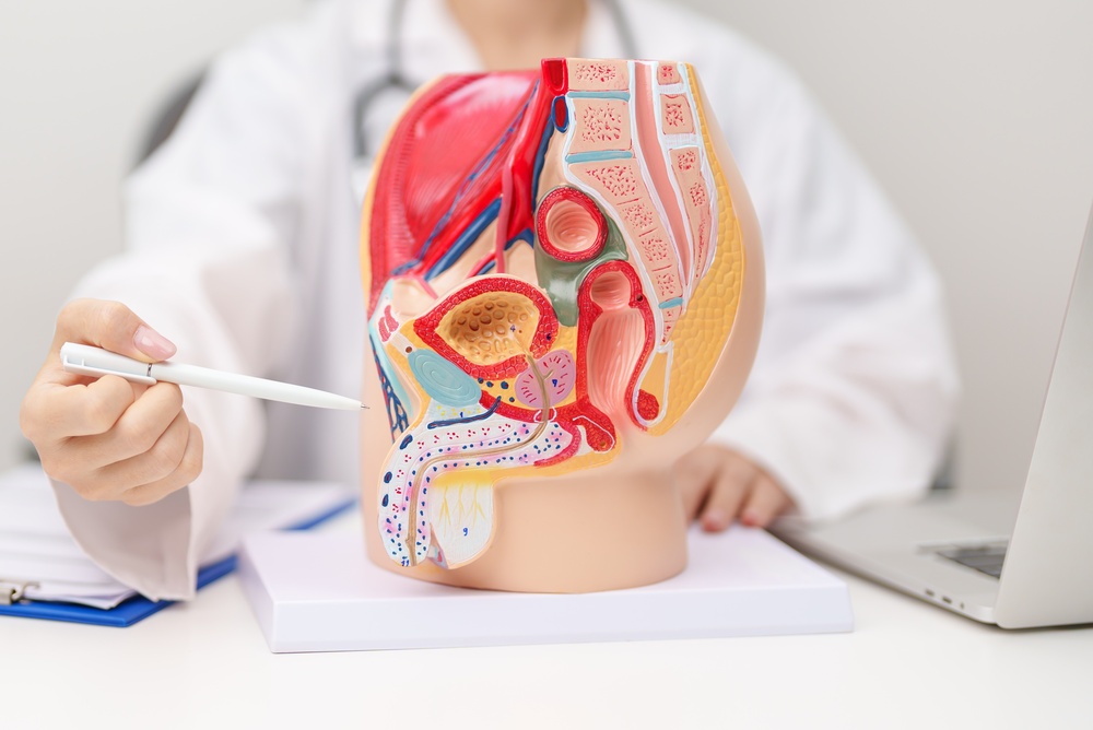 Erectile Dysfunction Treatment Options in Towson