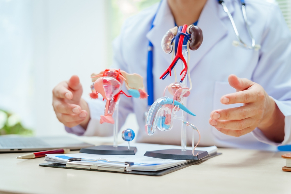 Finding a Penis Growth Doctor near Me in Howard County, MD: Your Options and Results, Explained